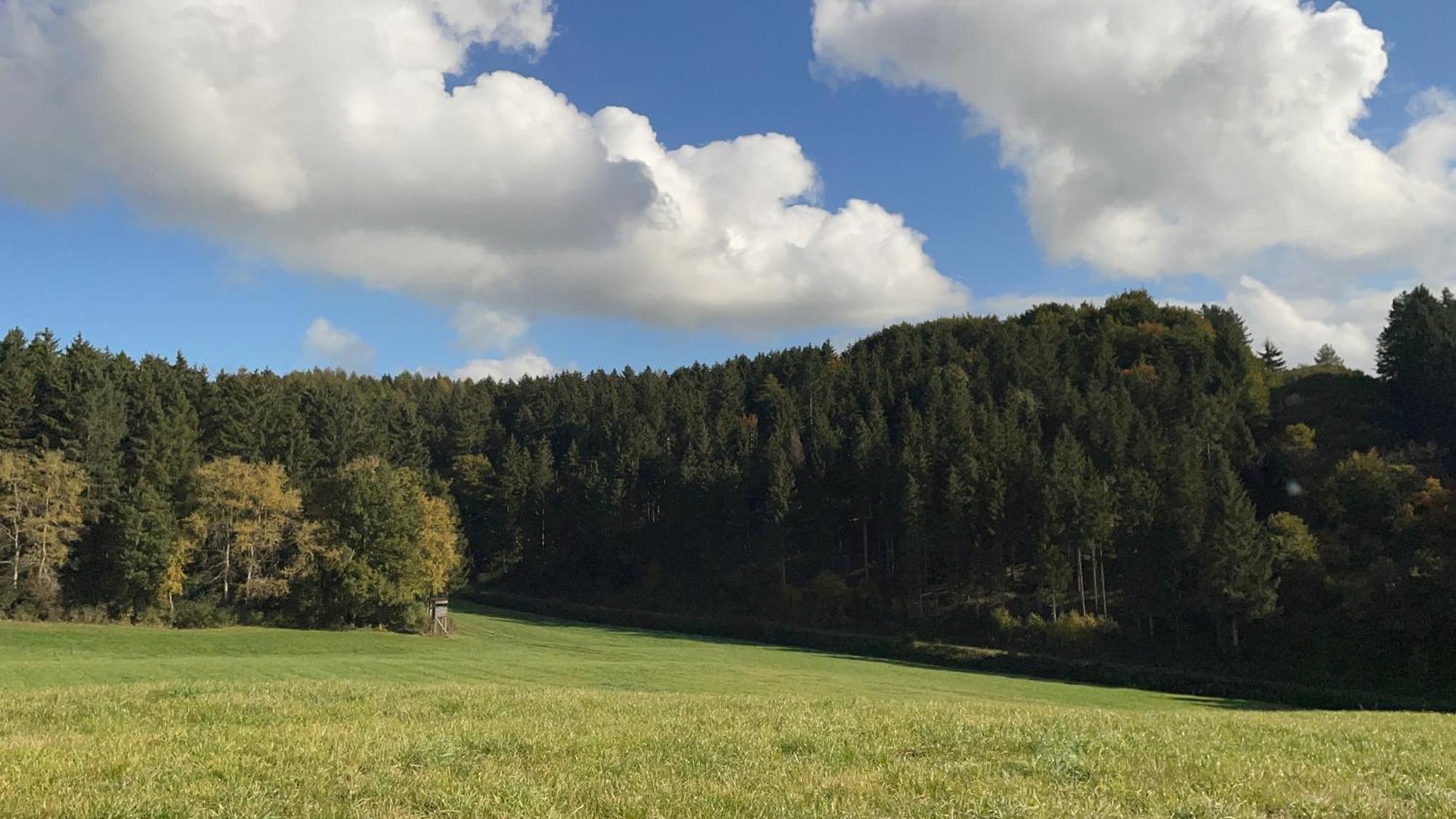 Deine-Eifel-Ferienwohnung Feusdorf Exteriör bild