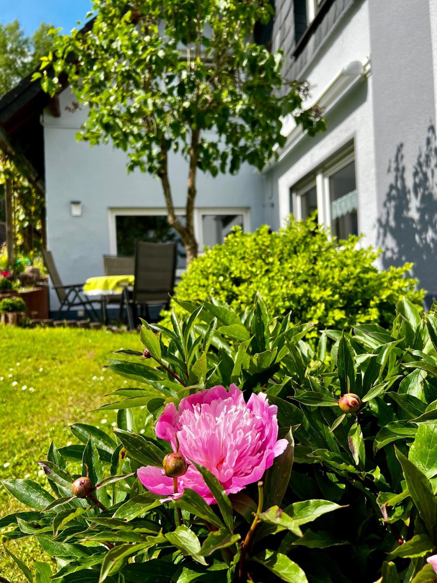 Deine-Eifel-Ferienwohnung Feusdorf Exteriör bild