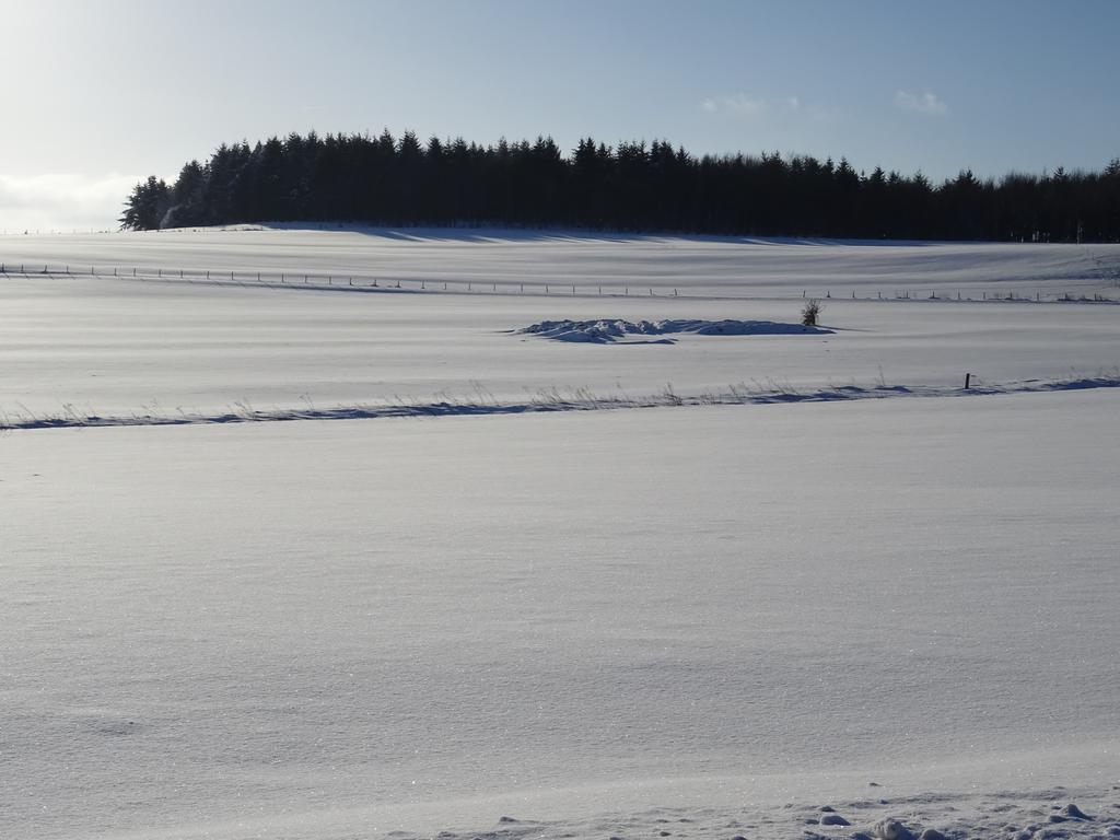 Deine-Eifel-Ferienwohnung Feusdorf Exteriör bild