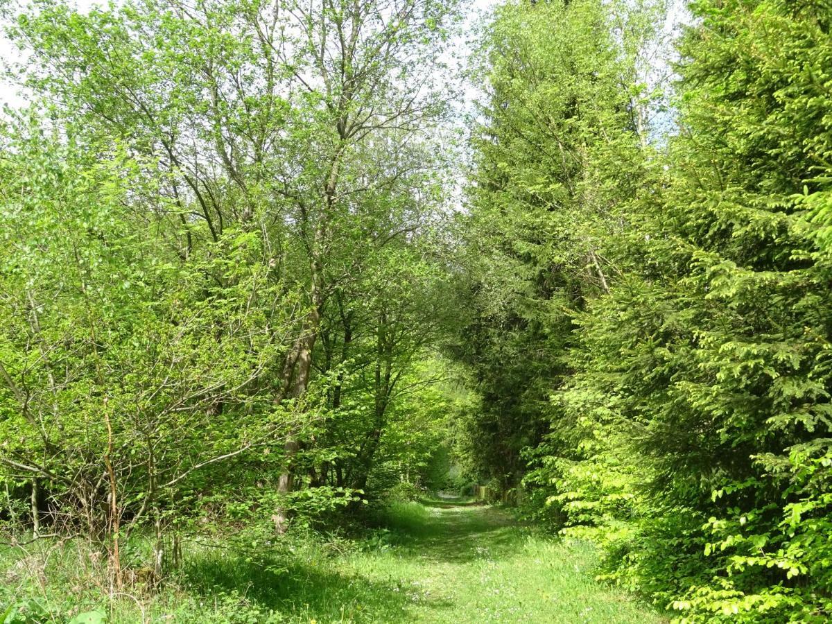 Deine-Eifel-Ferienwohnung Feusdorf Exteriör bild
