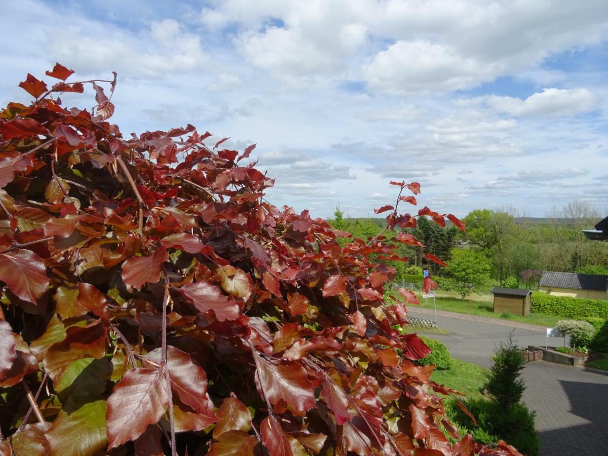 Deine-Eifel-Ferienwohnung Feusdorf Exteriör bild